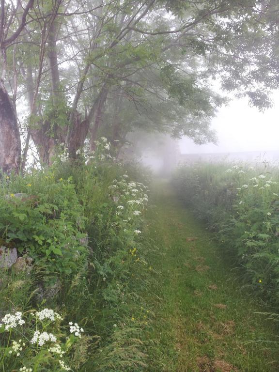 Auberge La Bergerie Sainte-Marie-de-Campan Exteriér fotografie